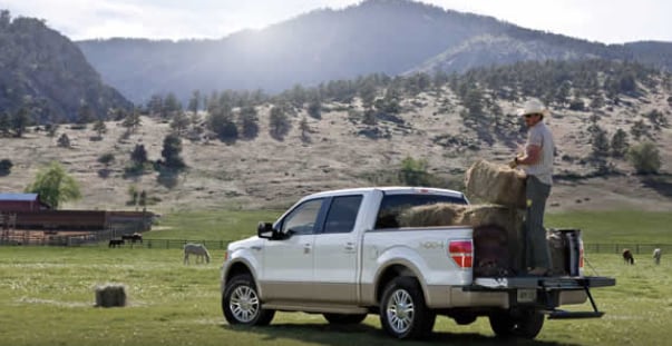 2013 Ford F-150 King Ranch Exterior Rear End.png 2013 Ford F-150 King Ranch Exterior Rear End